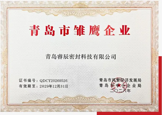 Qingdao Ruichen Sealing Technology Co., Ltd. telah terpilih sebagai 