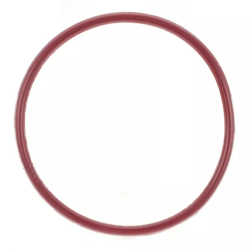 Cincin-O Terenkapsulasi FEP/PFA