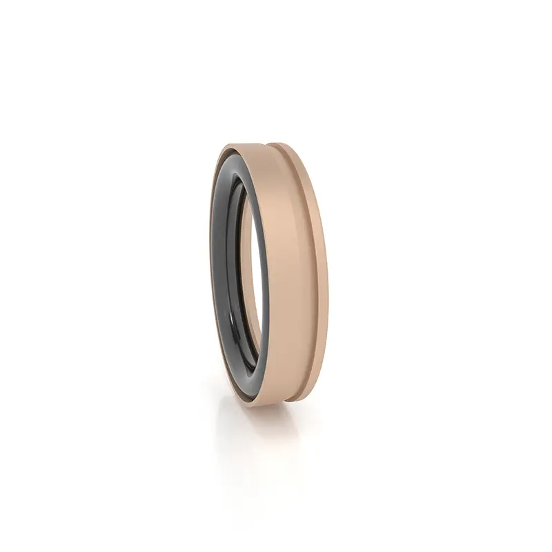 High Pressure Seals For Piston Holes