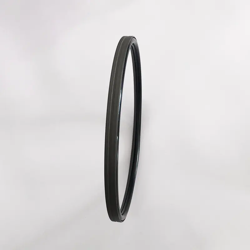 High Pressure Seals For Piston Holes