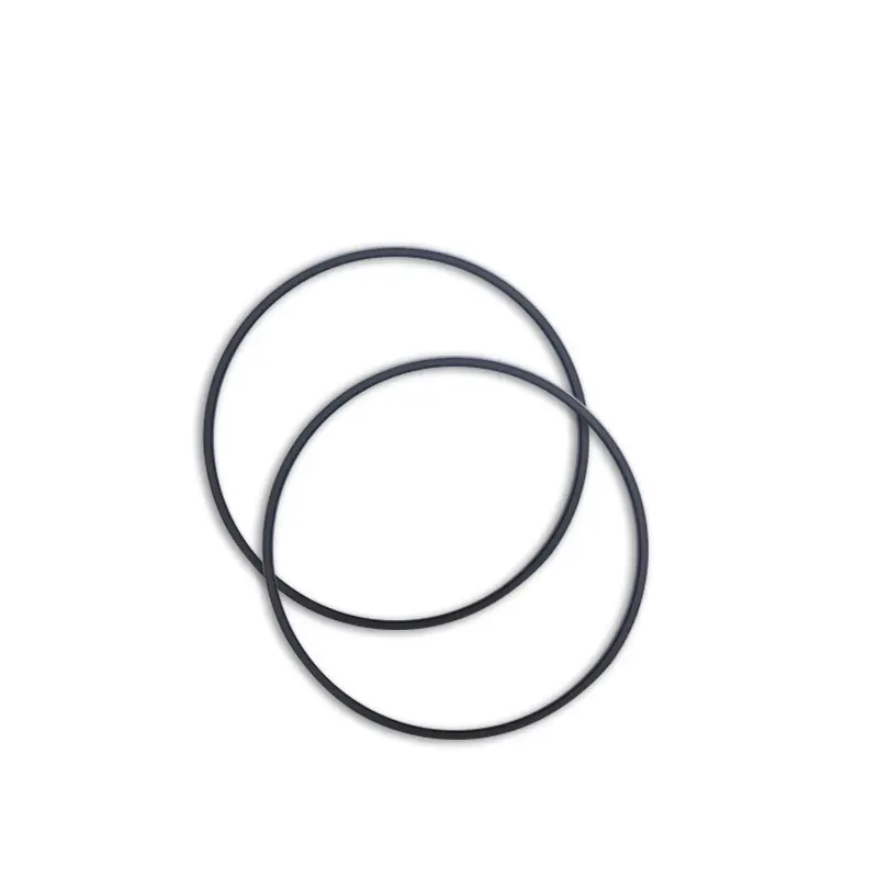 High Pressure Seals For Piston Holes