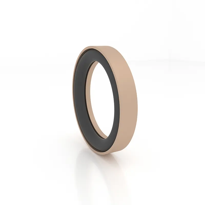 High Pressure Seals For Piston Holes