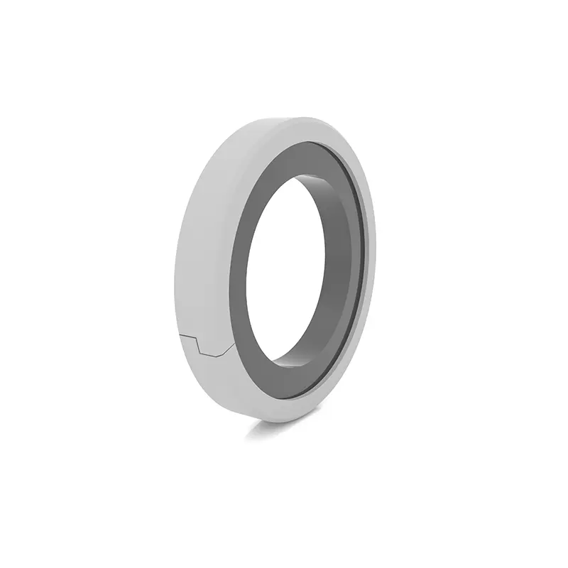 High Pressure Seals For Piston Holes