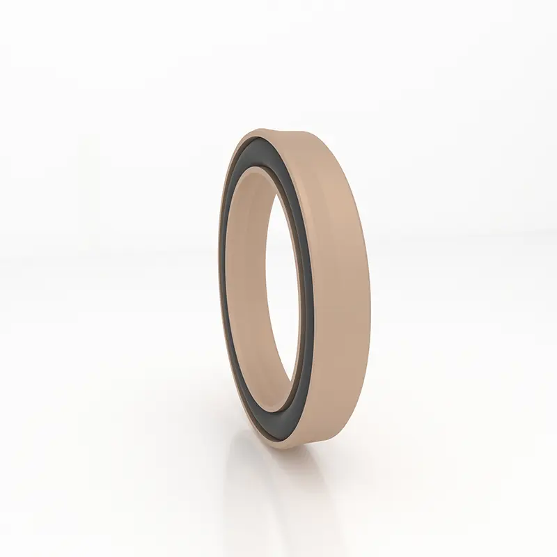 High Pressure Seals For Piston Holes