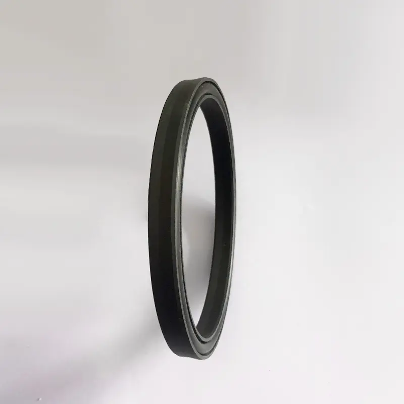 High Pressure Seals For Piston Holes