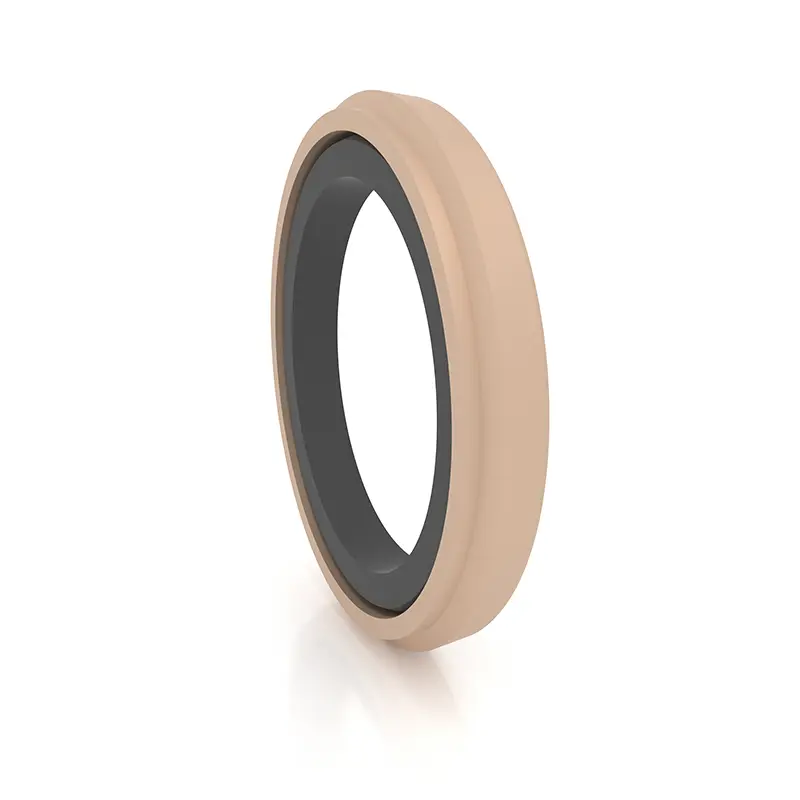 High Pressure Seals For Piston Holes