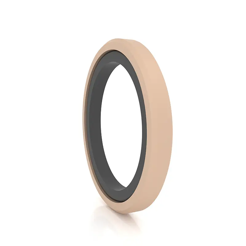 High Pressure Seals For Piston Holes