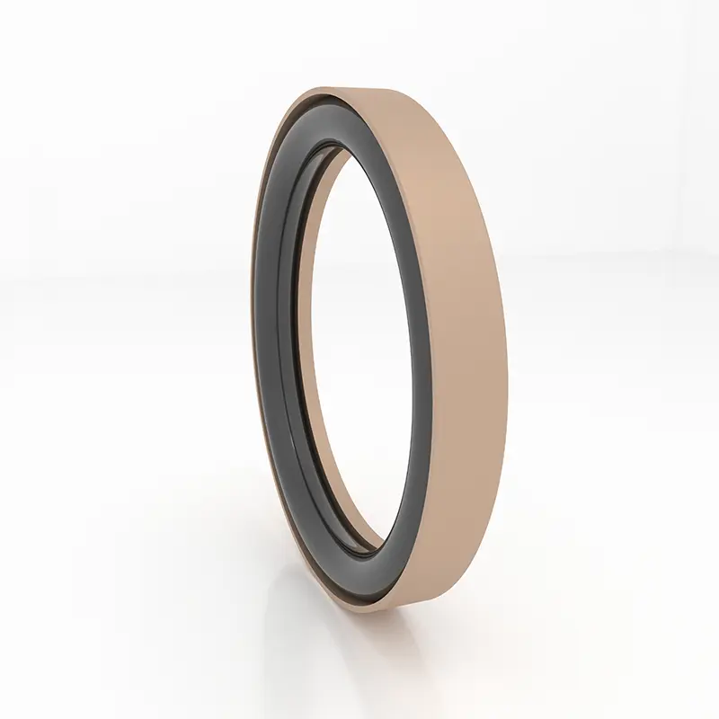 High Pressure Seals For Piston Holes