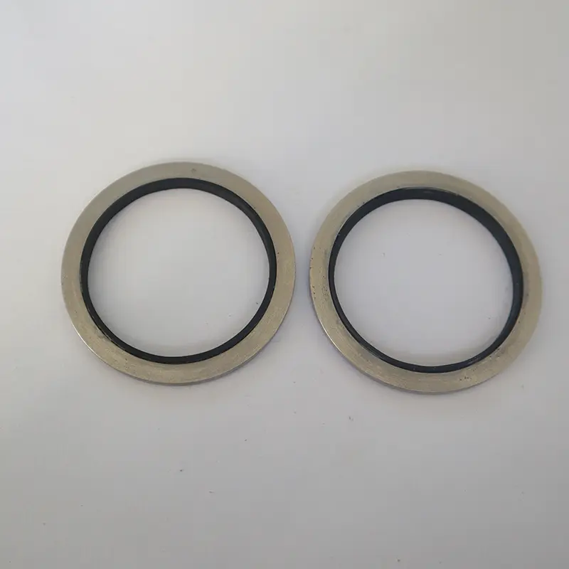 Basic Hydraulic Seals