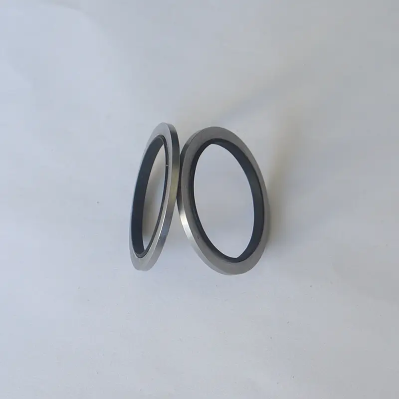 Basic Hydraulic Seals