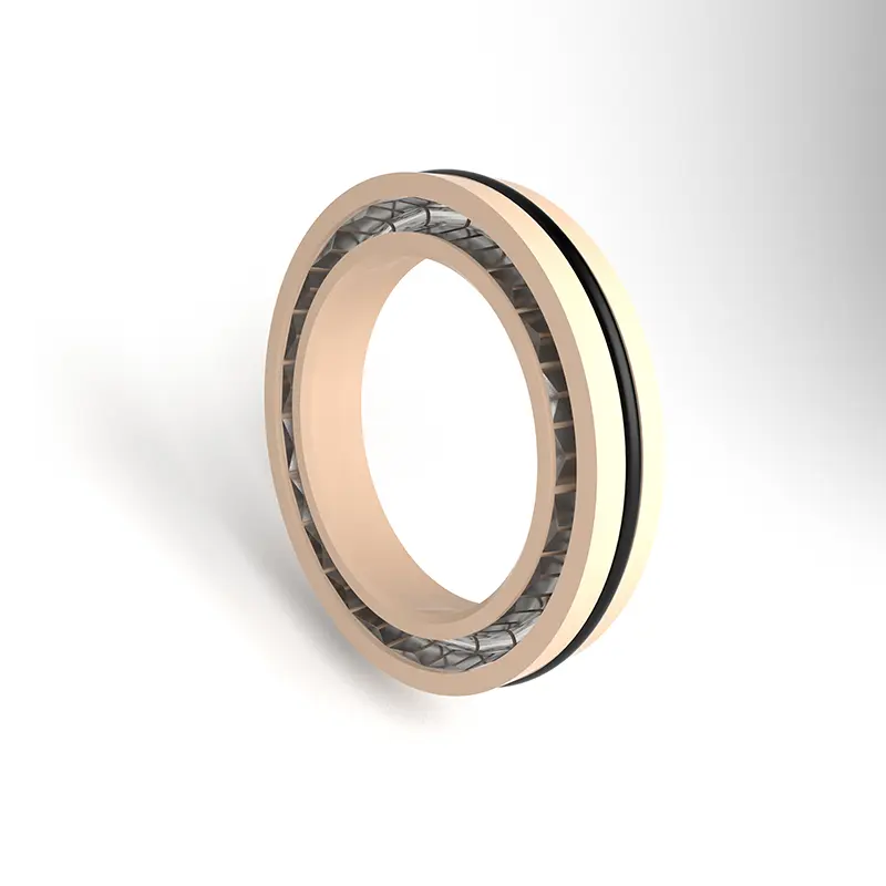 Spring Energized Seal For Rotating Shaft