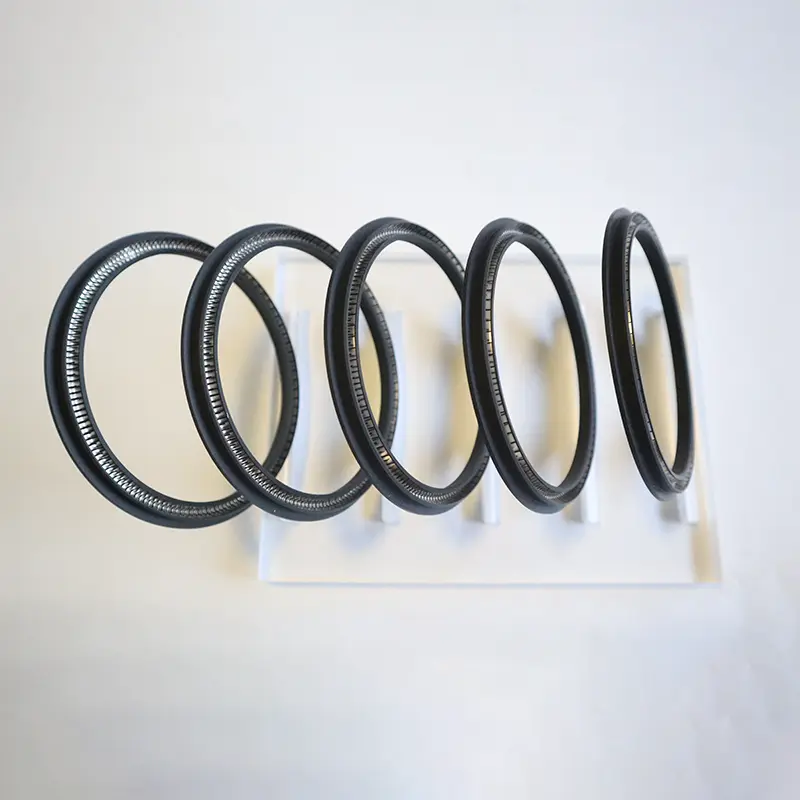 Spring Energized Seal For Rotating Shaft