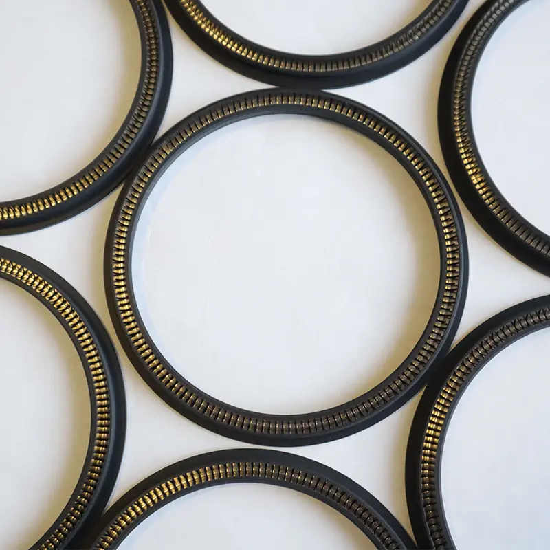 Spring Energized Seal For Rotating Shaft