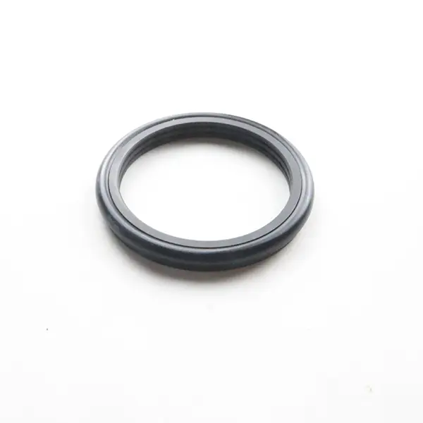 Rotary Seals For Cement Slurry